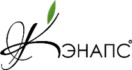кэнапсы logo